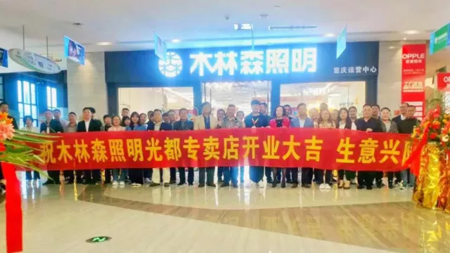 ��������(�й�VIP��֤)�ɷ����޹�˾