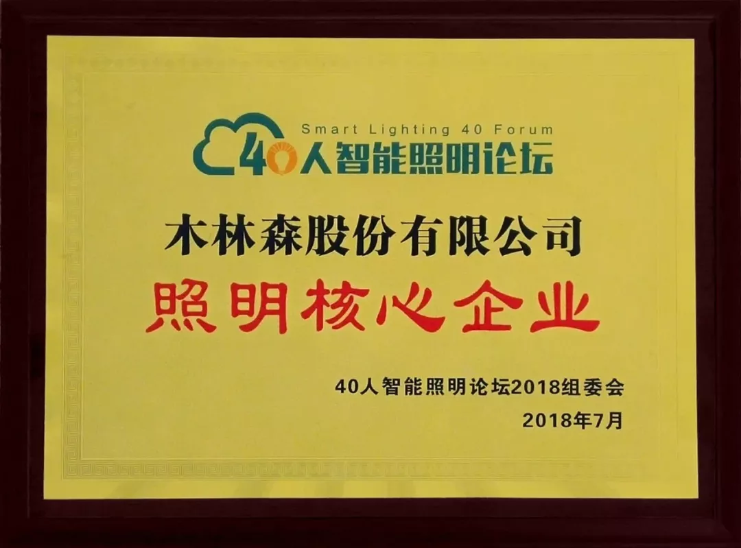 ��������(�й�VIP��֤)�ɷ����޹�˾