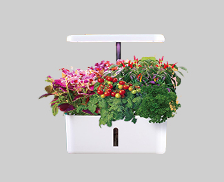 ����ݪֲ����ϵͳ