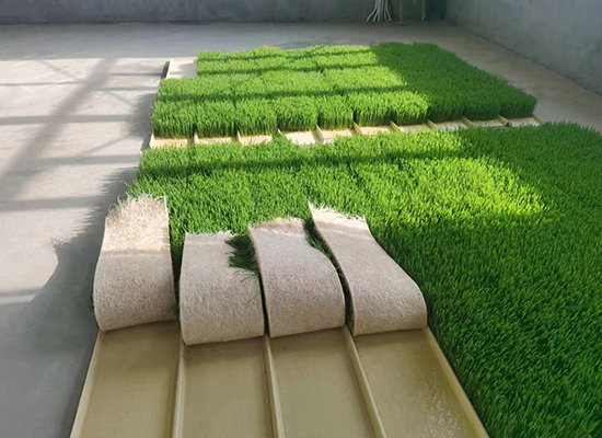 ��������������������ٵ���Ǩ����������Ŀ