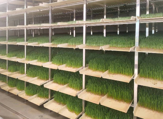 ɽ����ˮ��ũ  ũ��ҵ�ִ�����ʩ