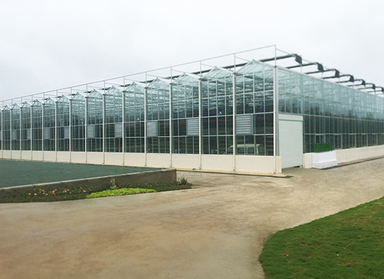 �괨������Ŵ���ִ�ũҵ��ҵ԰EPC��Ŀ