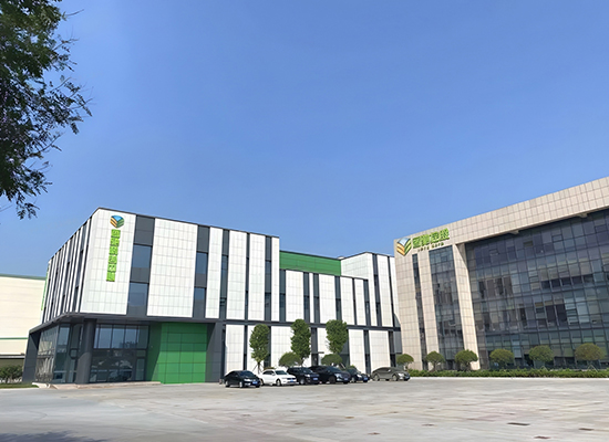 ɽ��������͹��ǹ���