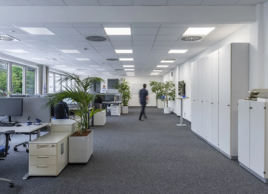 �¹� Schreiner �����ܲ��ִ�������ˢ��